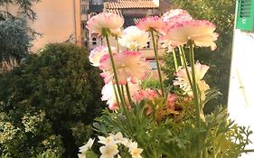 Bed And Breakfast Evelina
